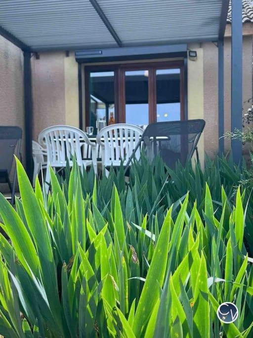 St-Germain - Les Terrasses De L'Ardeche - Piscine Apartment ซาลาวาส์ ภายนอก รูปภาพ